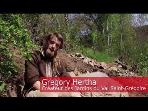 Les hôtels à "petites bêtes" de Gregory Hertha