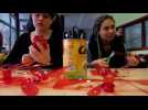Des fleurs-&eacute;oliennes au  lyc&eacute;e Th&eacute;odore-Deck de Guebwiller - Label : L'Alsace - Category : News