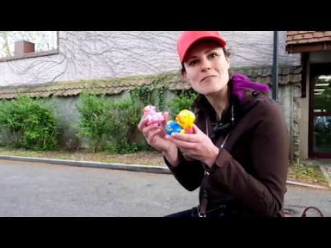 Des canards solidaires à Mulhouse