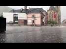 La gr&ecirc;le tombe &agrave; Thann - Label : L'Alsace - Category : News