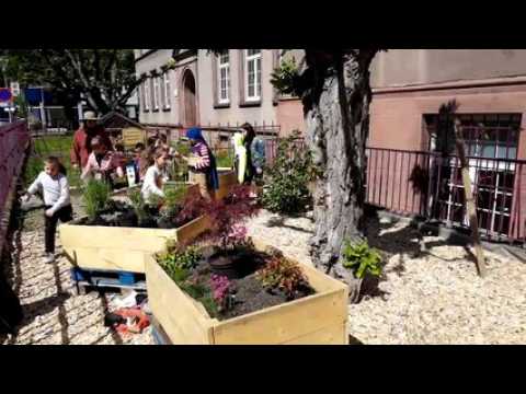 Saint-Louis : les écoliers créent leur jardin pédagogique