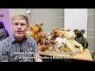 R&eacute;aliser son ours en peluche - Label : L'Alsace - Category : News