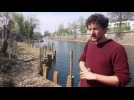 Des fray&egrave;res pour le Parc des eaux vives - Label : L'Alsace - Category : News