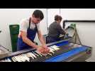 Le tri des premières asperges à l’EARL Morgenweider de Village-Neuf