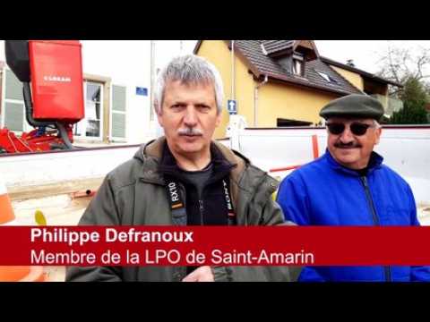 Des nids artificiels pour les hirondelles de Leimbach