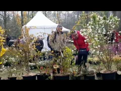 Mulhouse: le printemps des plantes au zoo