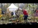 Mulhouse: le printemps des plantes au zoo