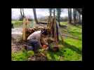 S&eacute;lestat : en attendant le concours international d'attelage - Label : L'Alsace - Category : News