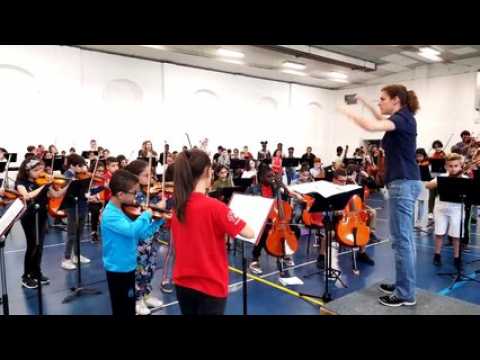 Orchestre Démos Mulhouse : dernier « tutti » avant le concert à la Philharmonie de Paris