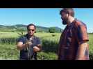 Crop-circle : rencontre entre croyant et sceptique