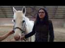 Flaxlanden : le cheval alli&eacute; des seniors - Label : L'Alsace - Category : News