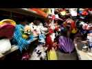 Mulhouse : le carnaval prépare son déménagement