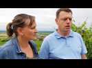Grands crus d'Alsace : le Spiegel