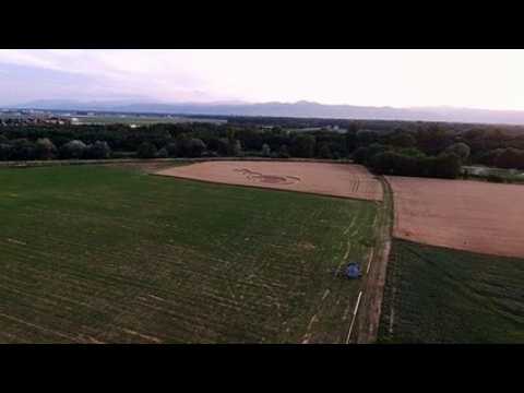 Un crop circle entre Andolsheim et Sundhoffen