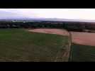Un crop circle entre Andolsheim et Sundhoffen
