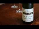 Le Spiegel, &laquo; &eacute;clatant et fringant &raquo; - Label : L'Alsace - Category : News