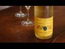 Grands crus d'Alsace: dégustation d'un Zotzenberg