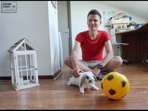 Alexis Midez, activiste mulhousien pour le climat