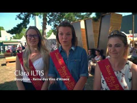 Reine des vins d'Alsace : le trio royal donne sa vision de la Foire