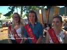 Reine des vins d'Alsace : le trio royal donne sa vision de la Foire