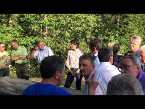 Masevaux : de nouvelles essences au secours de la forêt