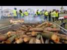 Rixheim : un barbecue en jaune - Label : L'Alsace - Category : News