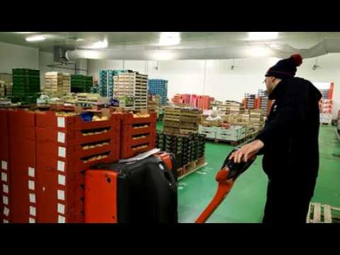 Marée, fruits exotiques: le rush des fêtes à la Sapam