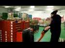 Mar&eacute;e, fruits exotiques: le rush des f&ecirc;tes &agrave; la Sapam - Label : L'Alsace - Category : News