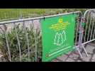 Sapins : du point de collecte au broyage - Label : L'Alsace - Category : News