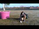 Et si vous vous mettiez au footing &eacute;colo ? - Label : L'Alsace - Category : News