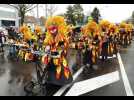 Riedisheim, le carnaval malgré la pluie