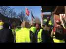 Journée d'action: un groupe de manifestants à la mairie de Mulhouse