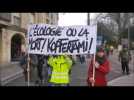 MANIF POUR CLIMAT MULHOUSE