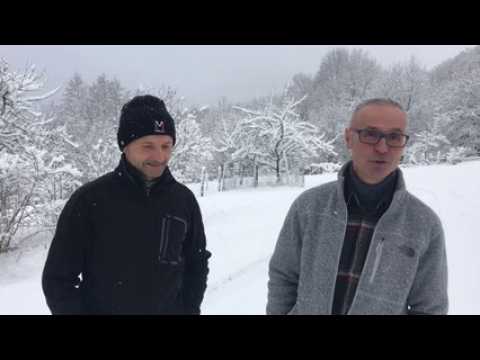 Le retour du loup dans les Vosges