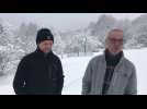 Le retour du loup dans les Vosges