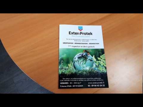 Mulhouse: des experts contre les nuisibles