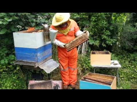 Le voyage d’Anne-Sophie Parant et Jean-Yves Leroide se poursuit en Amérique du Sud