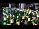 Comment la brasserie Meteor recycle ses bouteilles de bière