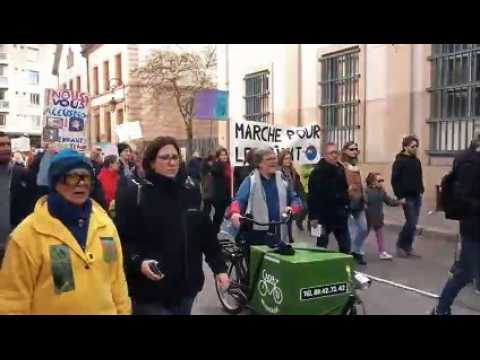 Climat : Mulhouse se mobilise