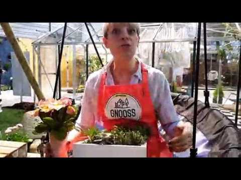 Conseils pour aménager sa terrasse