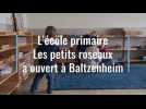 La p&eacute;dagogie Montessori expliqu&eacute;e - Label : L'Alsace - Category : News