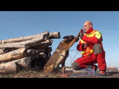 Haut-Rhin: des pompiers qui ont du flair