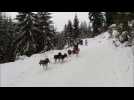 Course de tra&icirc;neau au Lac Blanc - Label : L'Alsace - Category : News