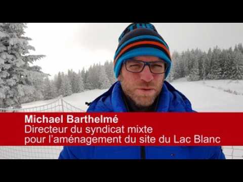 Le grand rendez-vous des chiens de traîneau