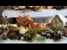Marché de Noël de Thann : les déco naturelles d'Agnès