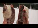 Regionale 19 - ODNI - La Kunsthalle Mulhouse