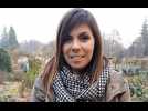 Wesserling: tout savoir sur "No&euml;l au jardin" - Label : L'Alsace - Category : News