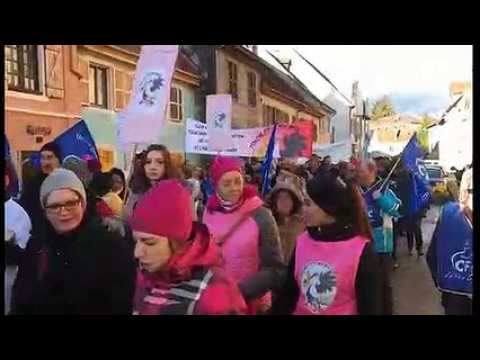 Un millier de manifestants en soutien à la maternité de Thann