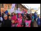 Un millier de manifestants en soutien à la maternité de Thann