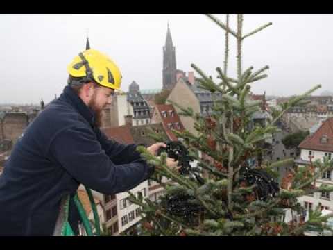 Marché de Noël: Strasbourg vue du sommet du sapin